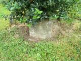 image of grave number 359493